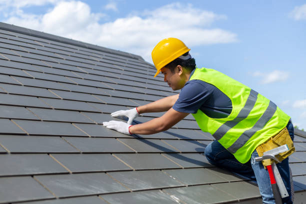 Best Roof Moss and Algae Removal  in Lwa, CA
